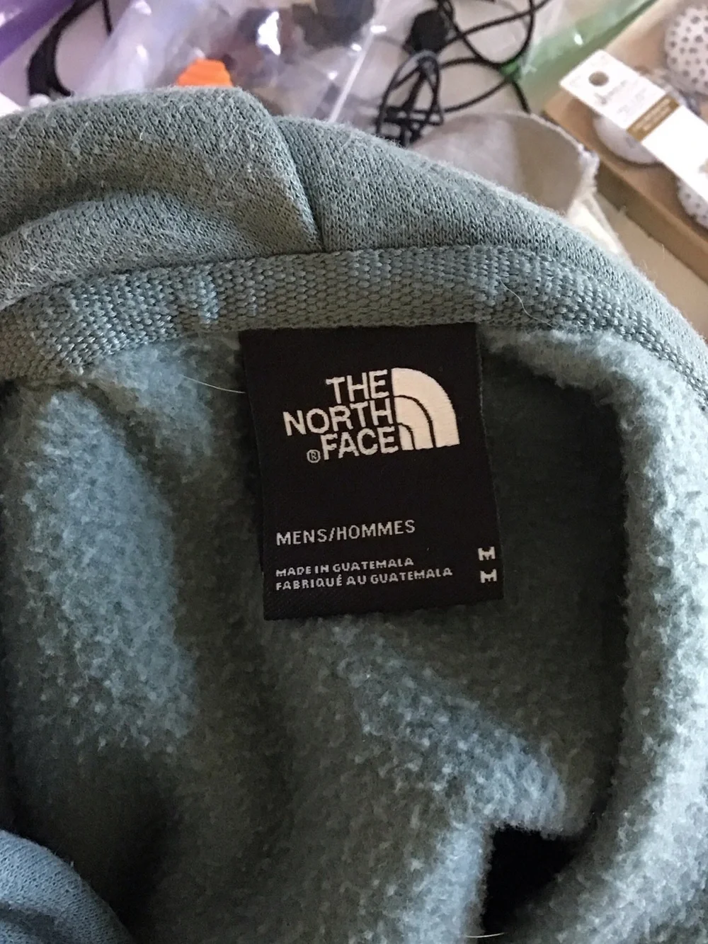 The North Face Men's Hoodie in Sage Green Fleece